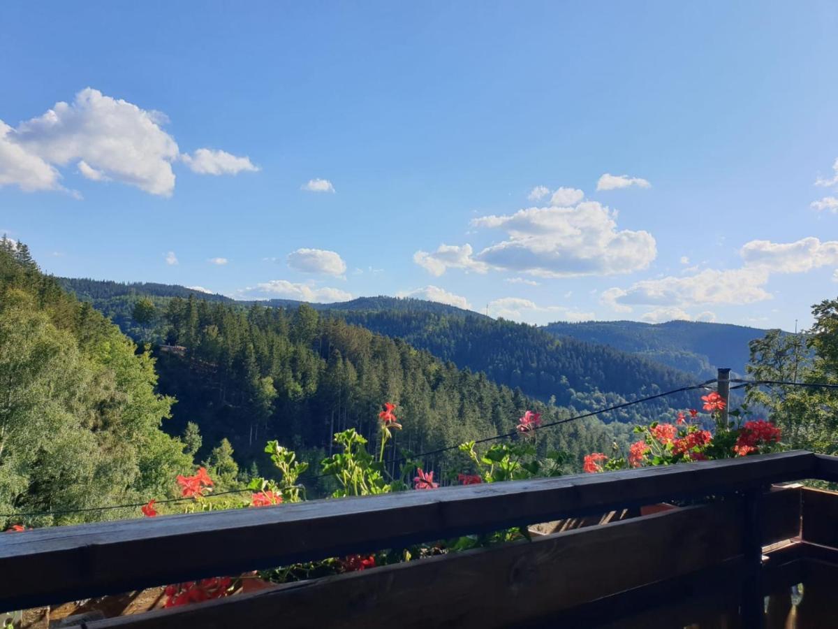 Apartmán Landhaus Valentin Triberg im Schwarzwald Exteriér fotografie