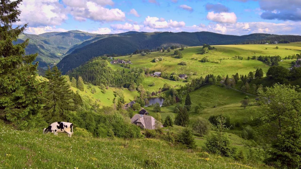 Apartmán Landhaus Valentin Triberg im Schwarzwald Exteriér fotografie