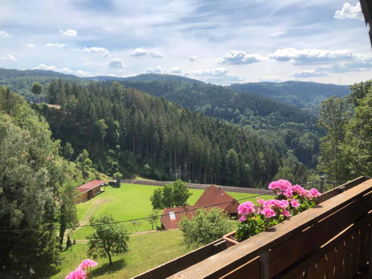 Apartmán Landhaus Valentin Triberg im Schwarzwald Exteriér fotografie