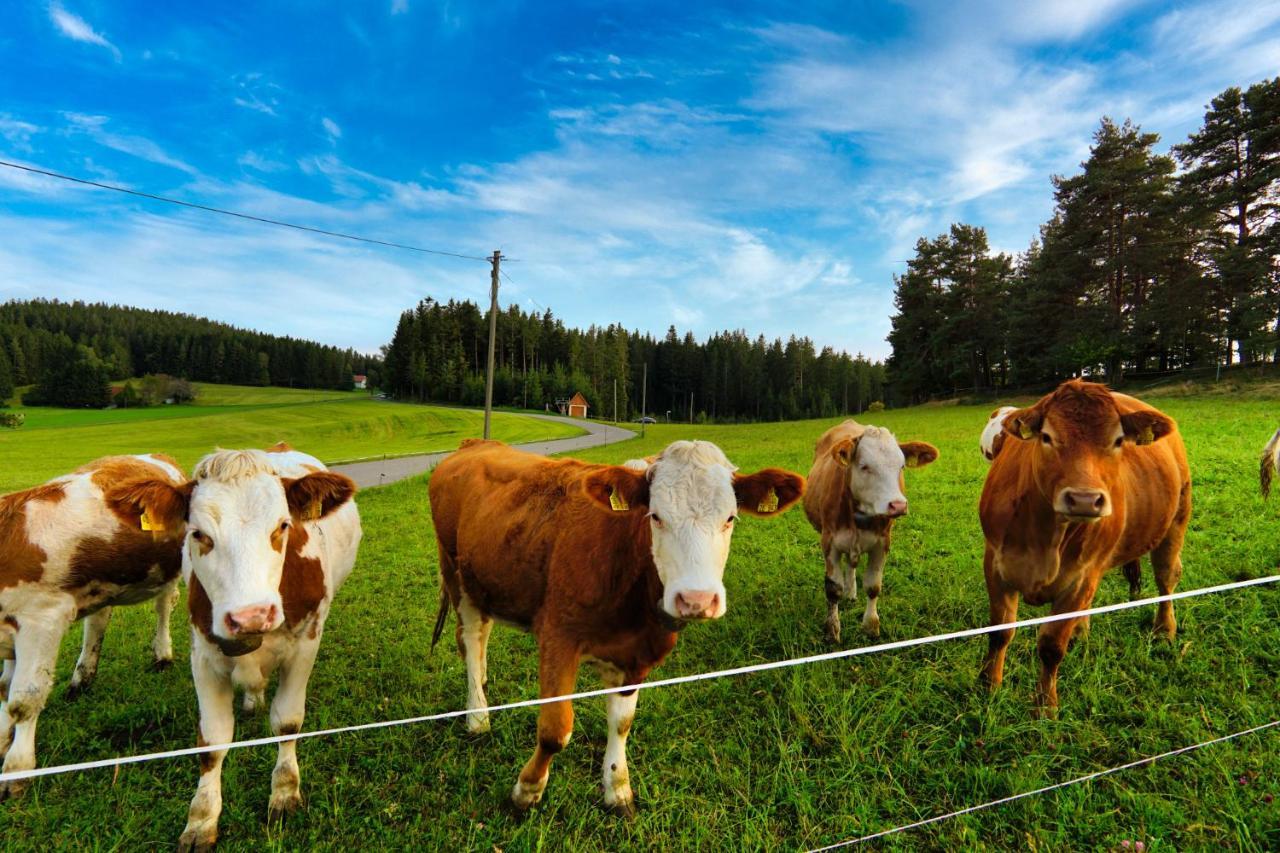 Apartmán Landhaus Valentin Triberg im Schwarzwald Exteriér fotografie