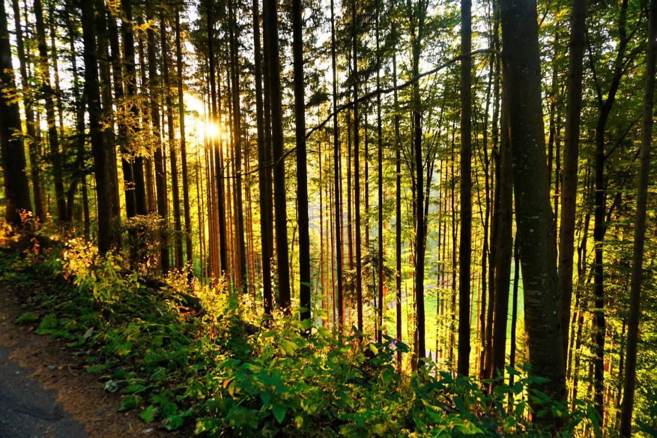 Apartmán Landhaus Valentin Triberg im Schwarzwald Exteriér fotografie