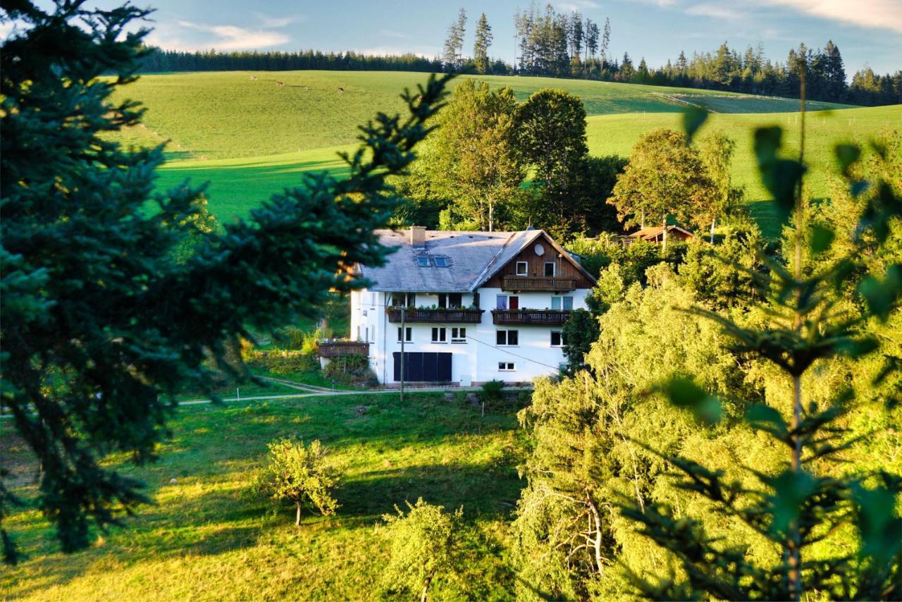 Apartmán Landhaus Valentin Triberg im Schwarzwald Exteriér fotografie