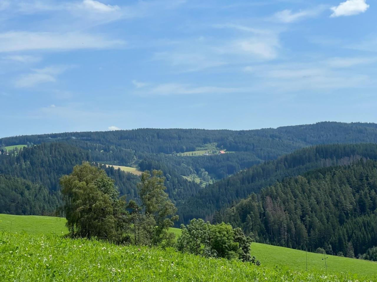 Apartmán Landhaus Valentin Triberg im Schwarzwald Exteriér fotografie