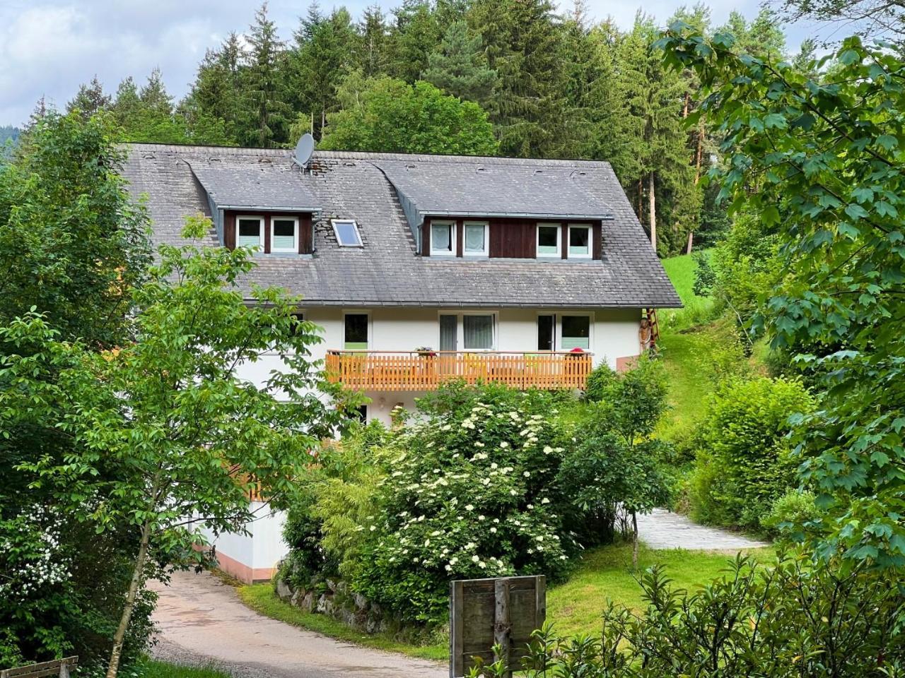 Apartmán Landhaus Valentin Triberg im Schwarzwald Exteriér fotografie