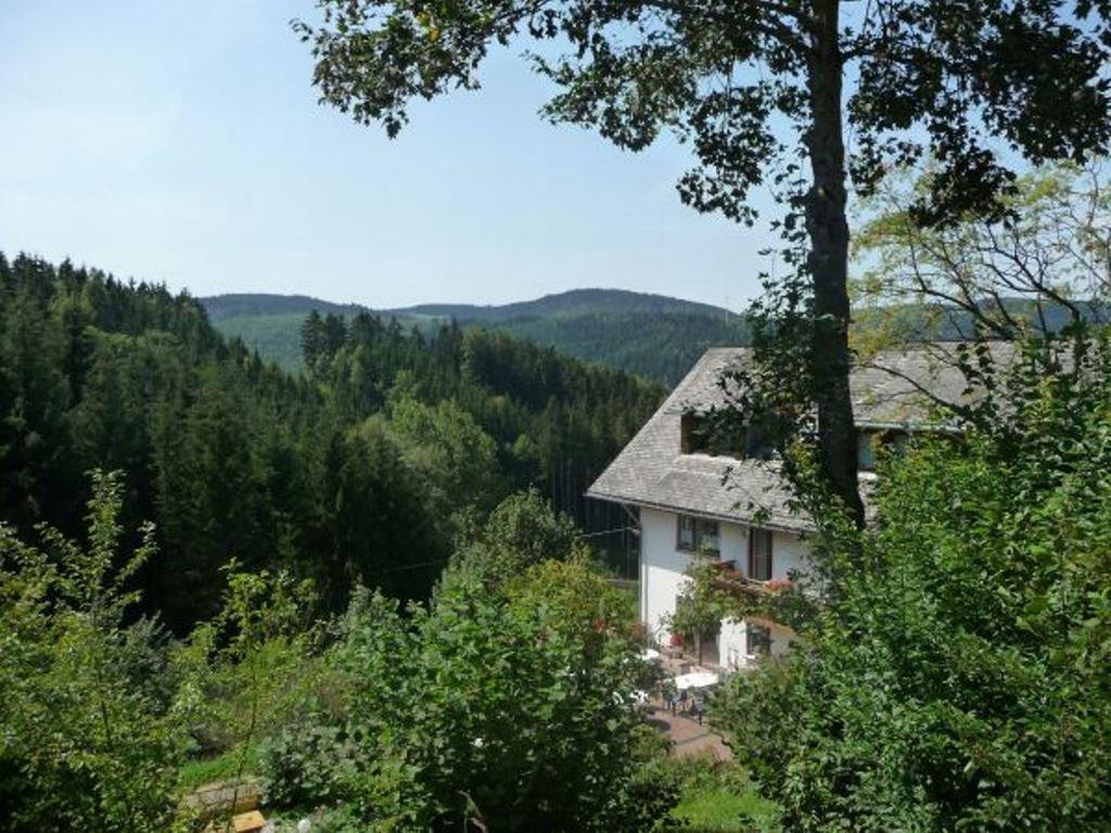 Apartmán Landhaus Valentin Triberg im Schwarzwald Exteriér fotografie