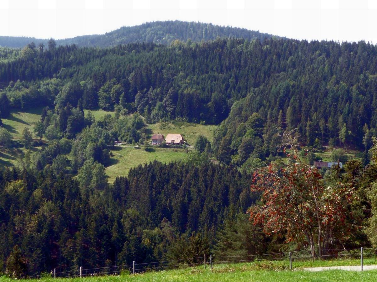 Apartmán Landhaus Valentin Triberg im Schwarzwald Exteriér fotografie