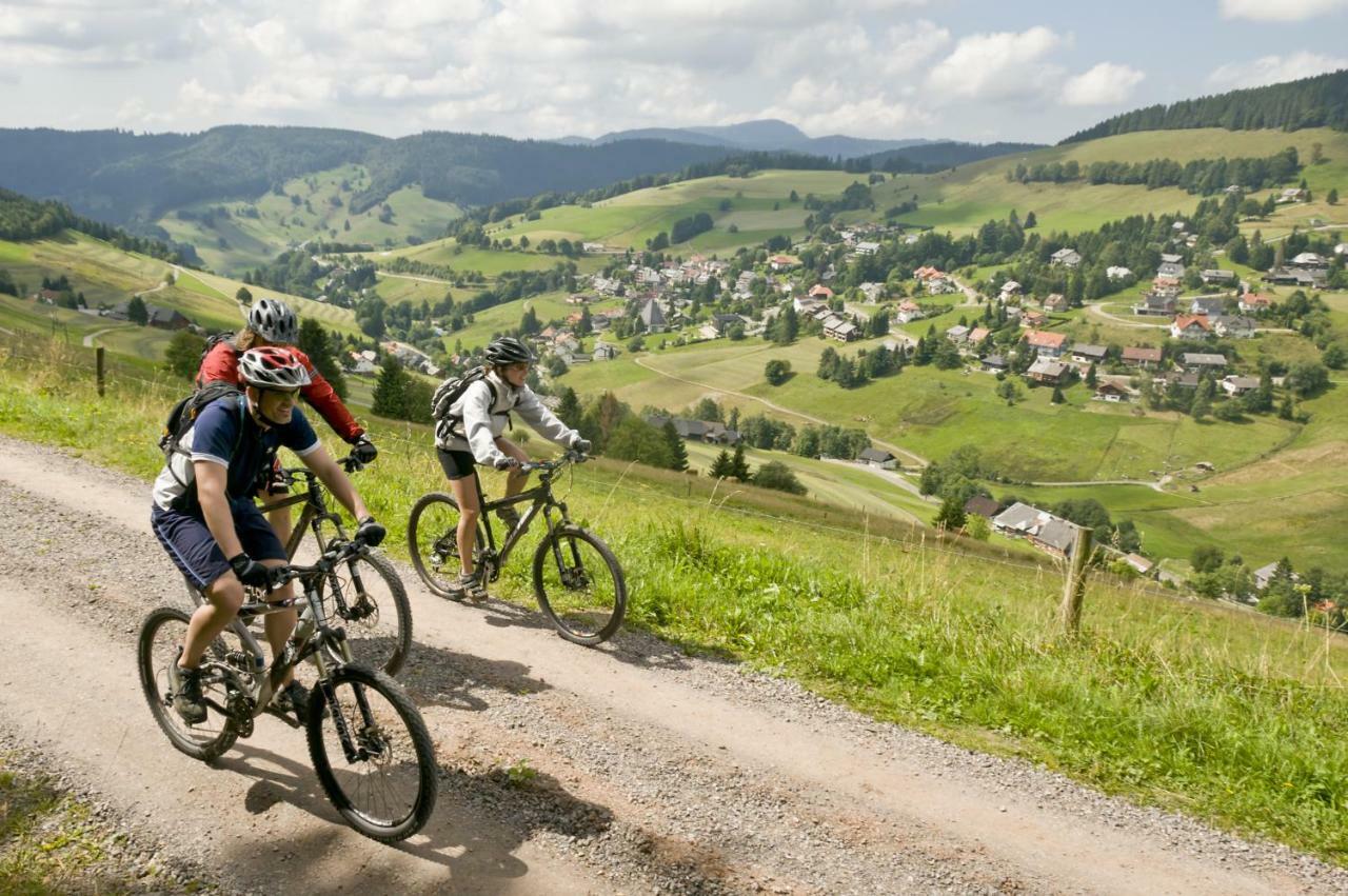 Apartmán Landhaus Valentin Triberg im Schwarzwald Exteriér fotografie