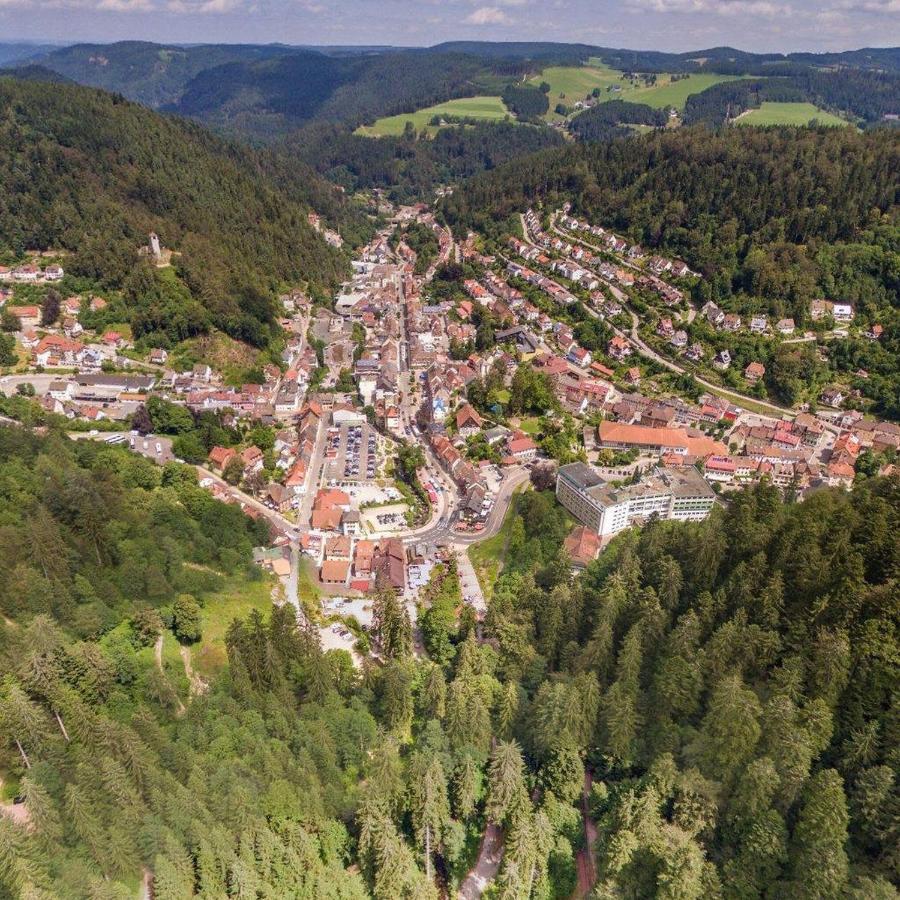 Apartmán Landhaus Valentin Triberg im Schwarzwald Exteriér fotografie