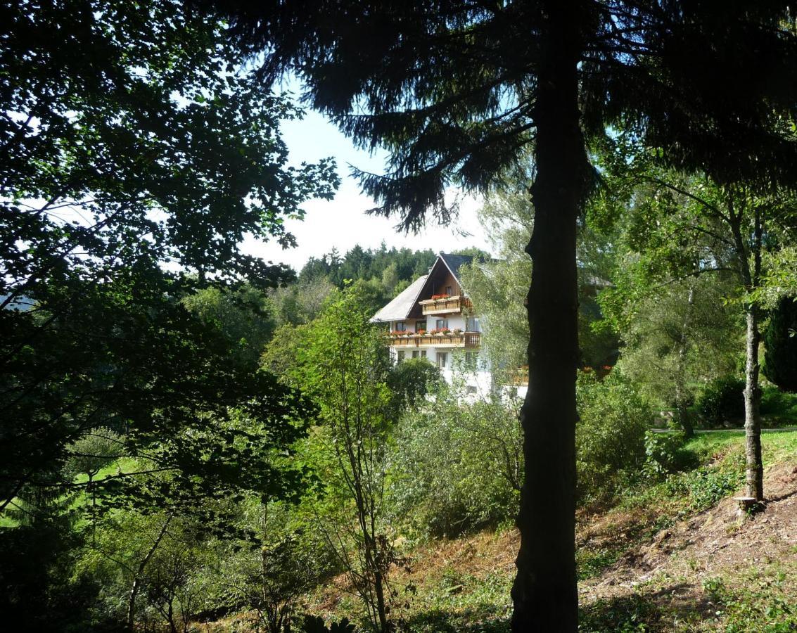 Apartmán Landhaus Valentin Triberg im Schwarzwald Exteriér fotografie